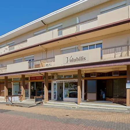 Renove Avec Balcon, Parking Et Animaux Acceptes - Fr-1-841-18 דירה