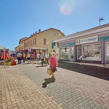 Renove Avec Balcon, Parking Et Animaux Acceptes - Fr-1-841-18 Appartement *