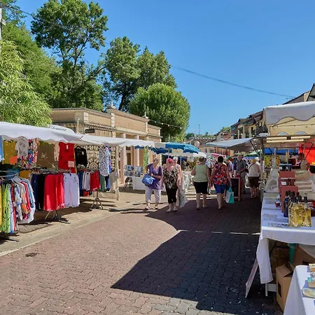 Renove Avec Balcon, Parking Et Animaux Acceptes - Fr-1-841-18 * Barbotan-les-Thermes