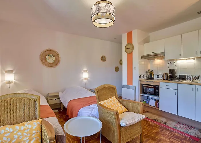 Apartment Renove Avec Balcon, Parking Et Animaux Acceptes - Fr-1-841-18 Barbotan-les-Thermes